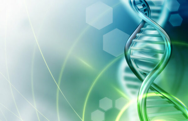 Fotolia_104622650_Subscription_Monthly_L